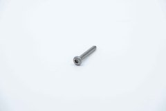 M2,9 ISO 14585 TX  SİLİNDİR BAŞLI TORX SAÇ VİDASI A2