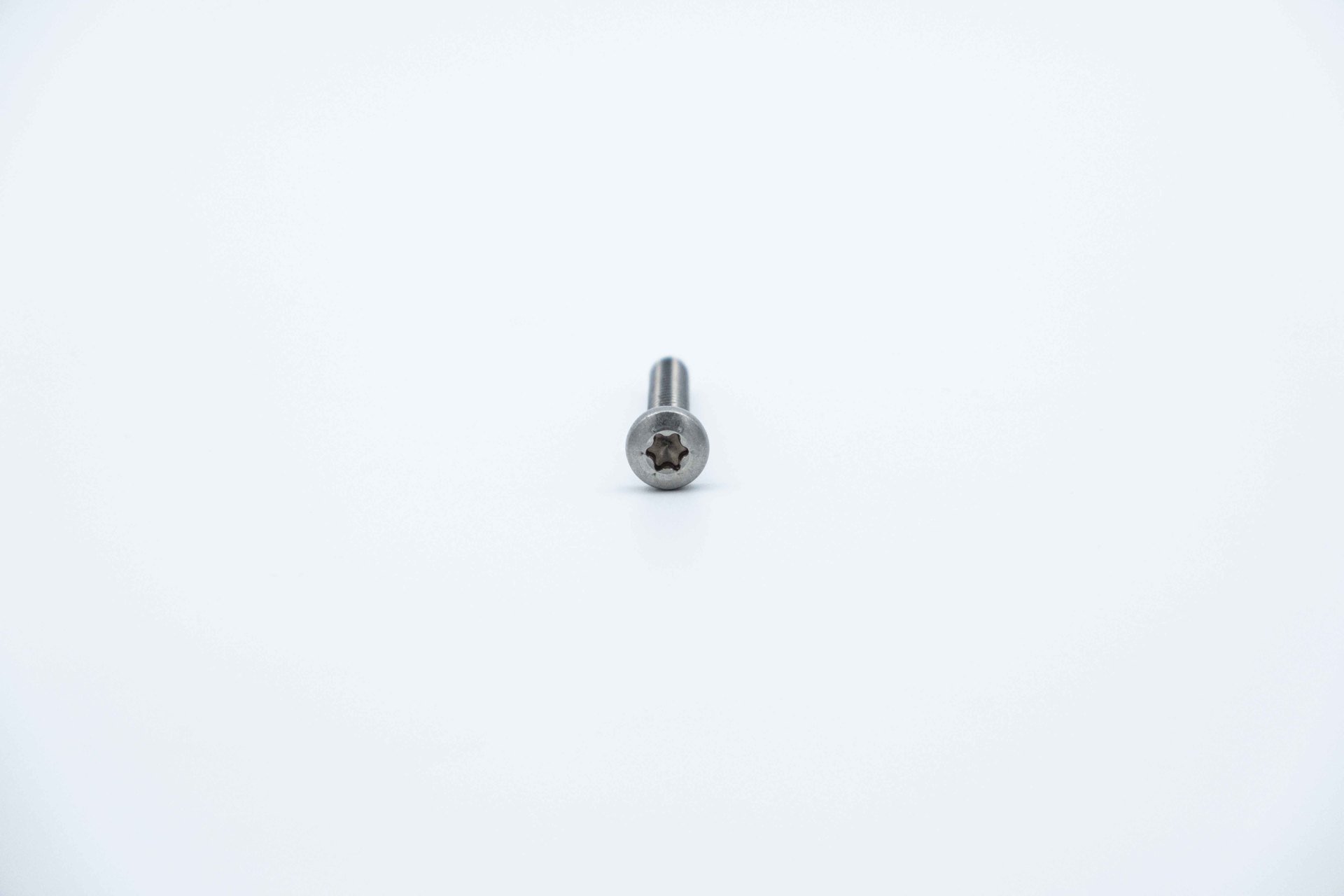 M6,3 ISO 14585 TX  SİLİNDİR BAŞLI TORX SAÇ VİDASI A2